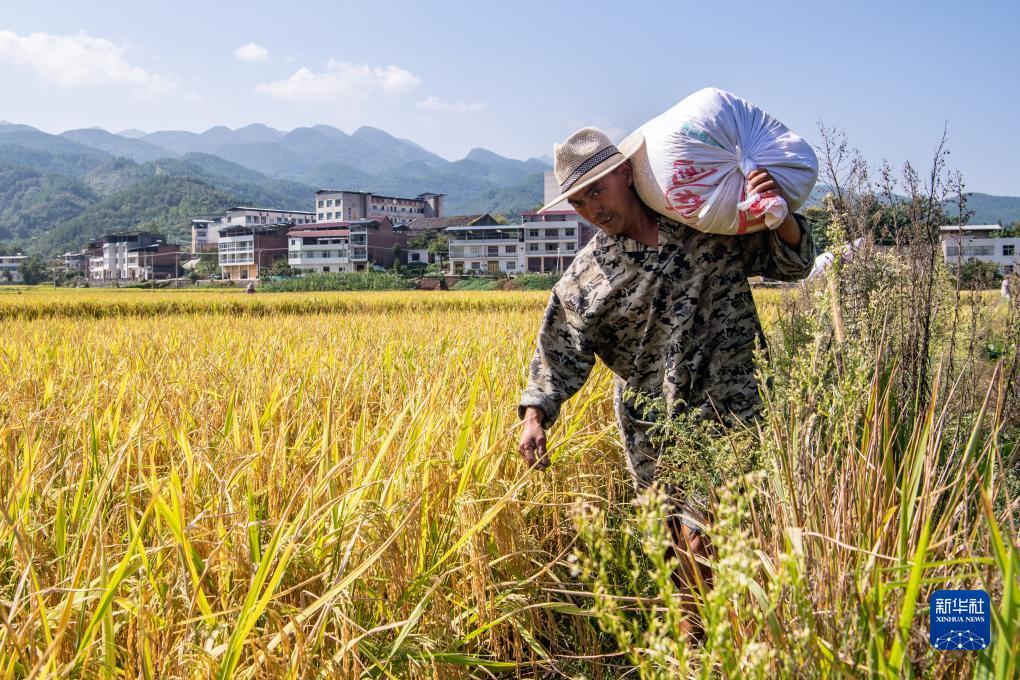澳门新威斯尼斯